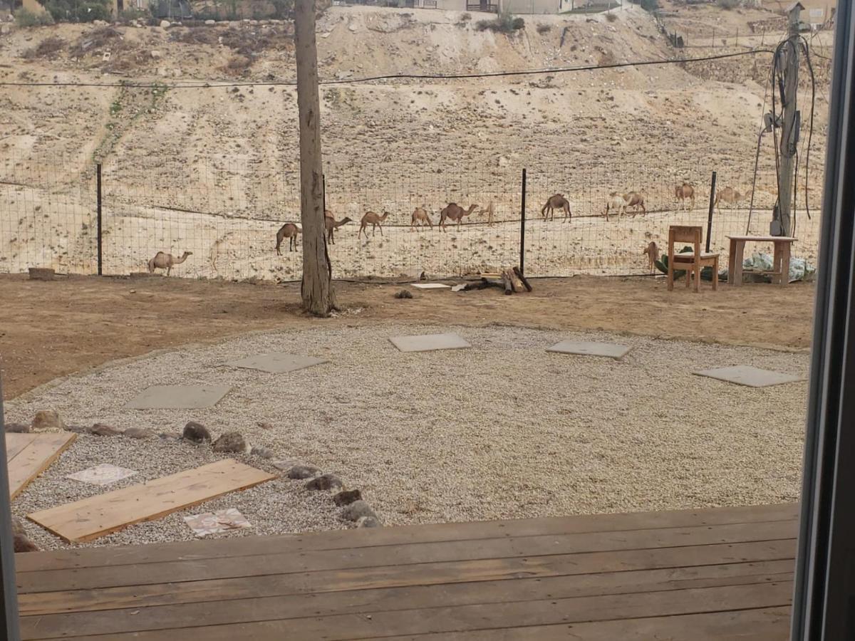 Moonlight Suite Arad צימר אור הירח, ערד エクステリア 写真