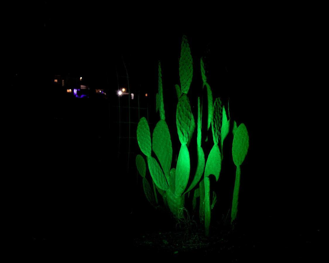 Moonlight Suite Arad צימר אור הירח, ערד エクステリア 写真